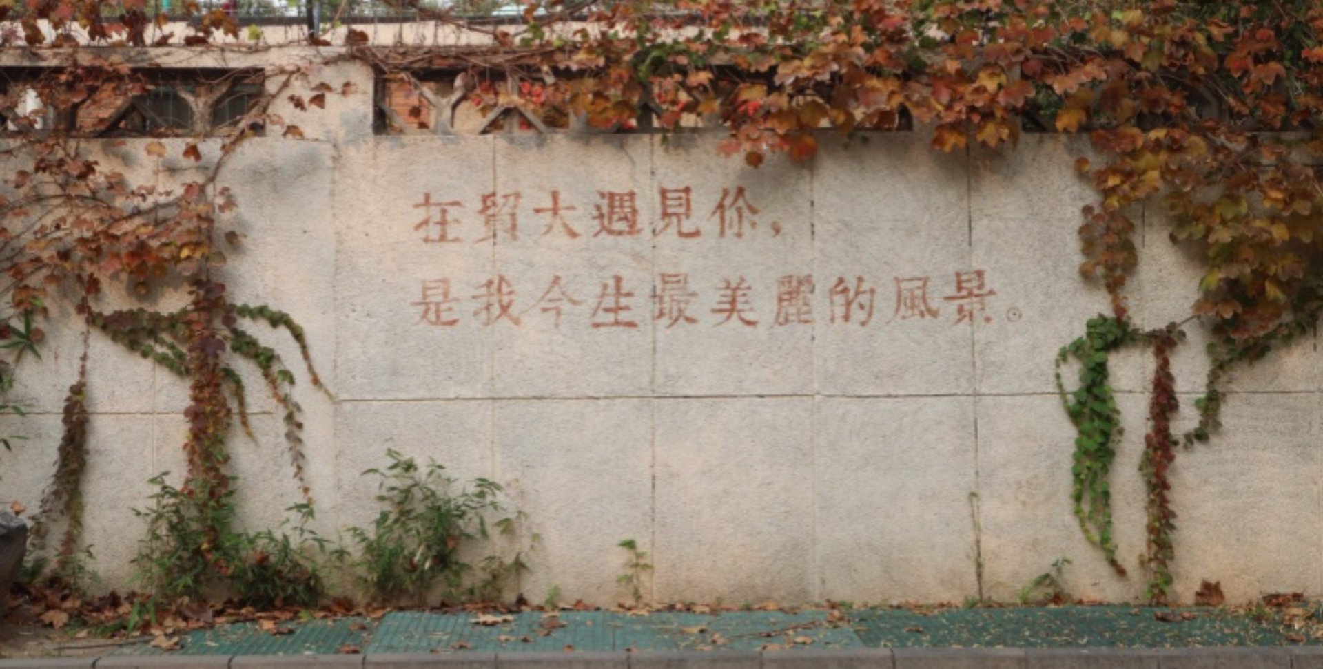 北京高校表彰