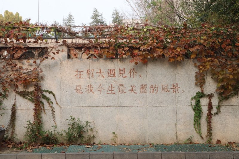 德赢最新版本下载