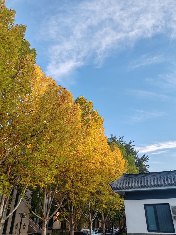 德赢最新版本下载