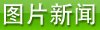 德赢最新版本下载