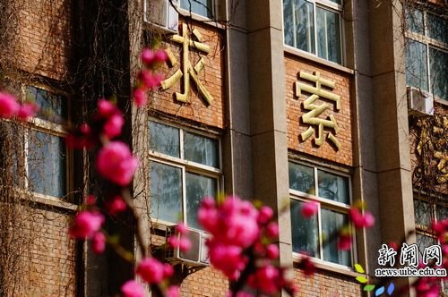 作品组六：