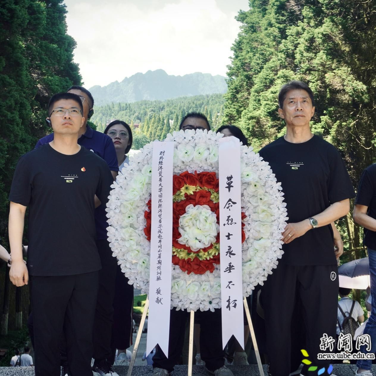 正值党的二十届三中全会召开之际