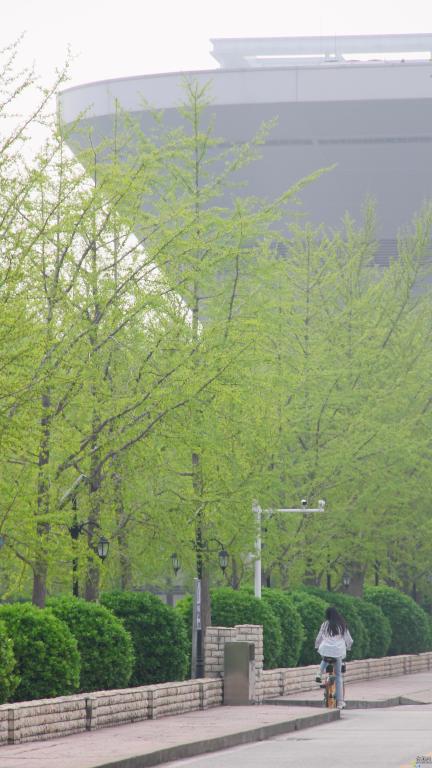 贸大美景