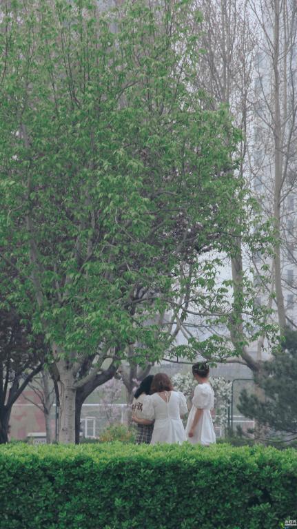 人随春好 春与人宜