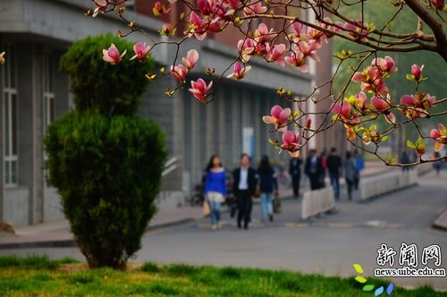 [图片] 美丽惠园随手拍（五）