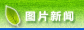 德赢最新版本下载