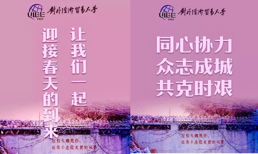 联合防控工作各专项小组